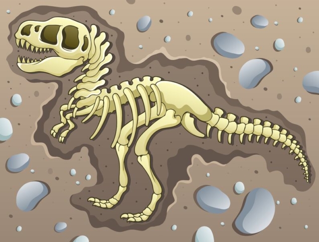 久慈は琥珀産地として国内最大！ティラノサウルス類化石も出た！