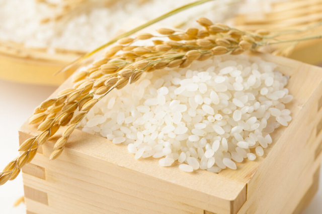 秋田は米が農業産出額の5割以上！「あきたこまち」を筆頭に人気のブランド米を続々開発中！