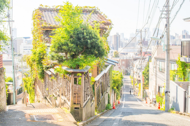 東京の坂には900以上の名前がある！起伏の多い23区内は坂だらけ？