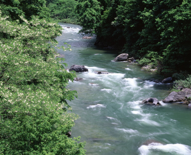 群馬の利根川とダムが支える暮らし～徳川家康も重要視した日本一の川～