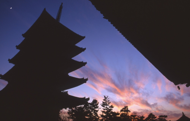 奈良墨はかつて興福寺が作っていた！現在も奈良産が全国シェア約95％！