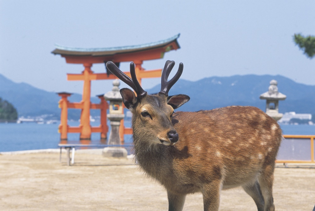 広島県の観光客数データ～多彩な観光地は外国人観光客に大人気～