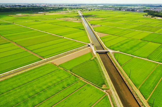 熊本の灌漑施設は 今も人々の生活を支えている！通潤橋をはじめ驚くべき土木技術とは？