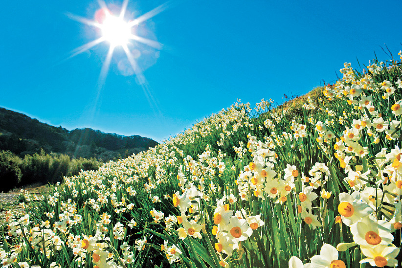 千葉 鋸山周辺 人気のおすすめ観光 グルメスポットをご紹介 まっぷるトラベルガイド