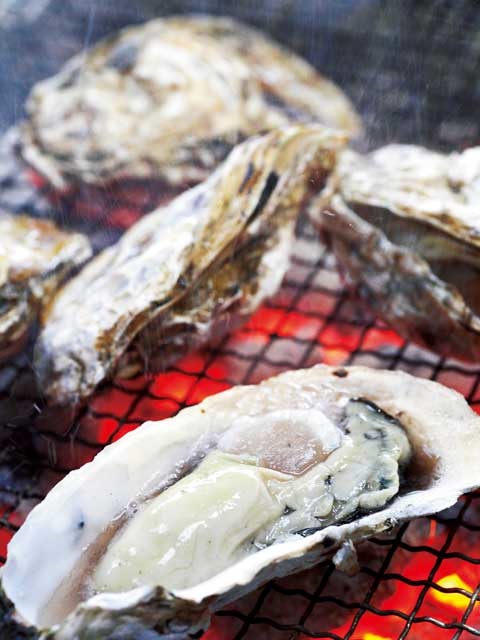 【糸島観光ドライブモデルコース】立ち寄りスポット:11月から3 月は「唐泊恵比須かき」を食べよう!