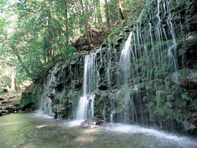 箱根のハイキング・トレッキングおすすめコース！堂ヶ島渓谷遊歩道や千