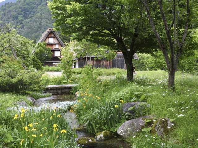 白川郷の合掌集落を観光！ 1日満喫モデルコースをご案内 - まっぷるウェブ