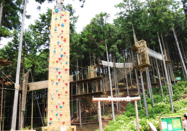「フォレストアドベンチャー」のアクティビティ体験へ