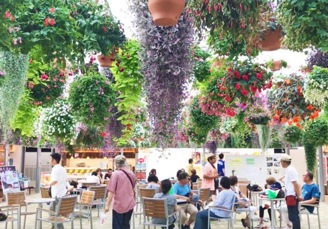 ■生花のシャンデリア!スカイガーデンで休憩を