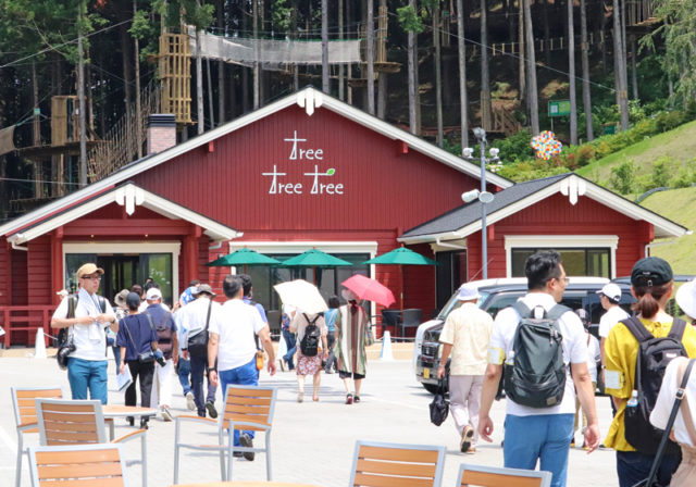 見る、買う、食べるが揃う新施設「tree tree tree」