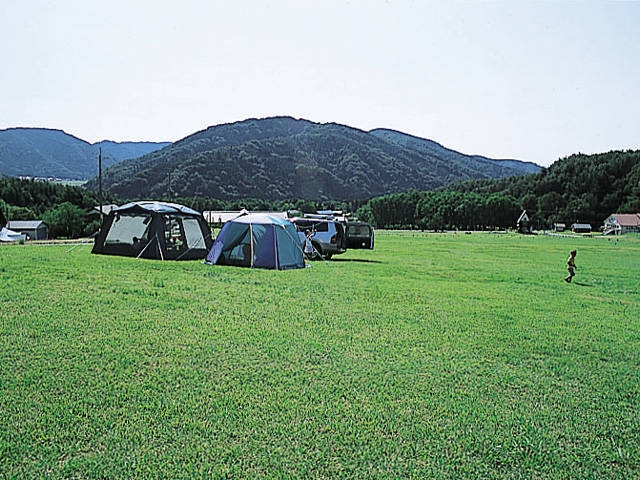 場 キャンプ オート の やすらぎ 森