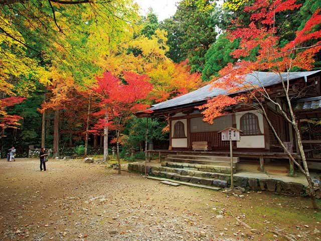 京都郊外 高雄 紅葉おすすめスポット 観光旅行メディア まっぷるトラベルガイド
