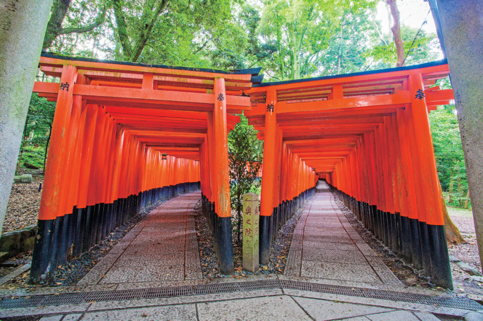 京都 伏見稲荷大社周辺の紅葉おすすめスポット まっぷるトラベルガイド