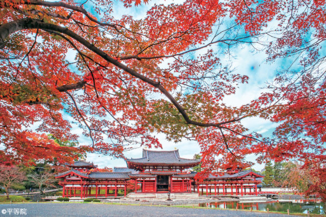 宇治の紅葉おすすめスポット 平等院(世界遺産)