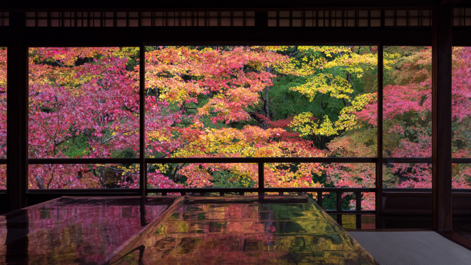 京都 紅葉の極上もみじ おすすめ社寺の見どころチェック！ まっぷるトラベルガイド