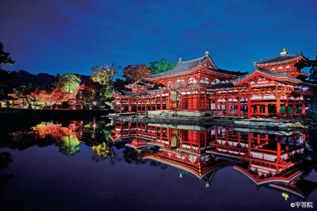 京都 ライトアップ紅葉 平等院