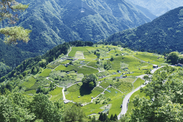 岐阜の絶景スポット 一度は見ておきたいおすすめ10選！ - まっぷるウェブ