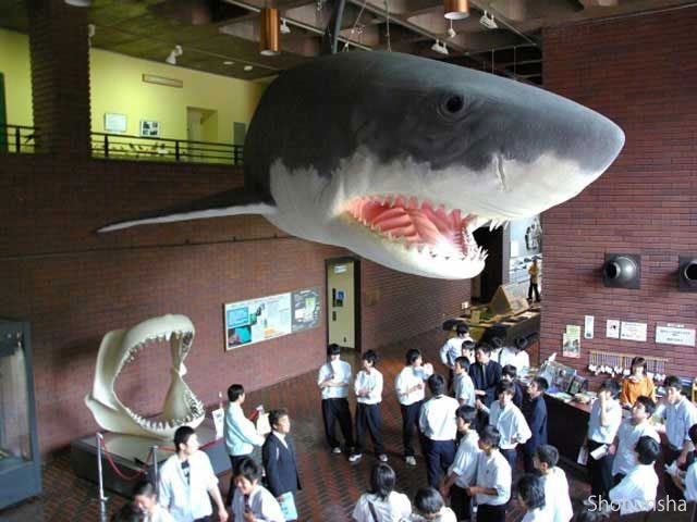 埼玉県立自然の博物館