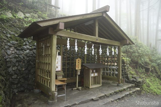 【奥秩父×三峯神社】恋の願いが叶うかも「えんむすびの木」