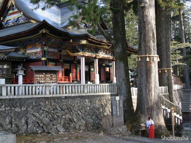 【奥秩父×三峯神社】神聖な木からパワーをチャージ「ご神木」