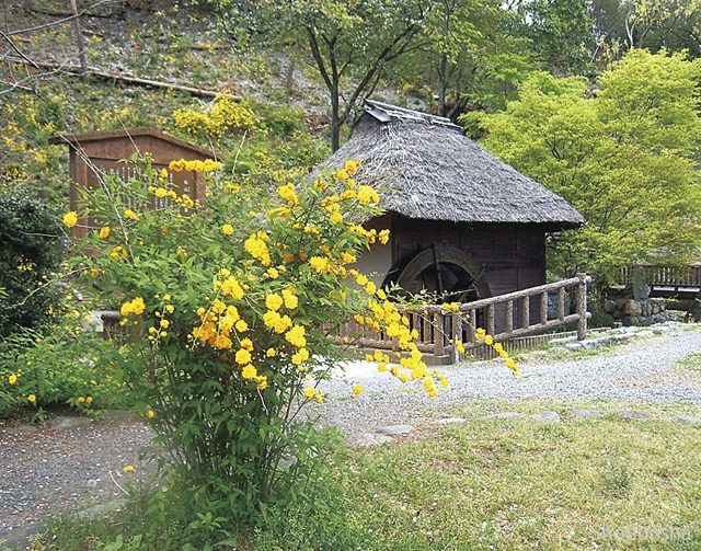 山吹の里歴史公園