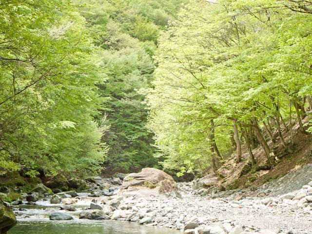 トラウトオン!入川(入川渓流観光釣場)