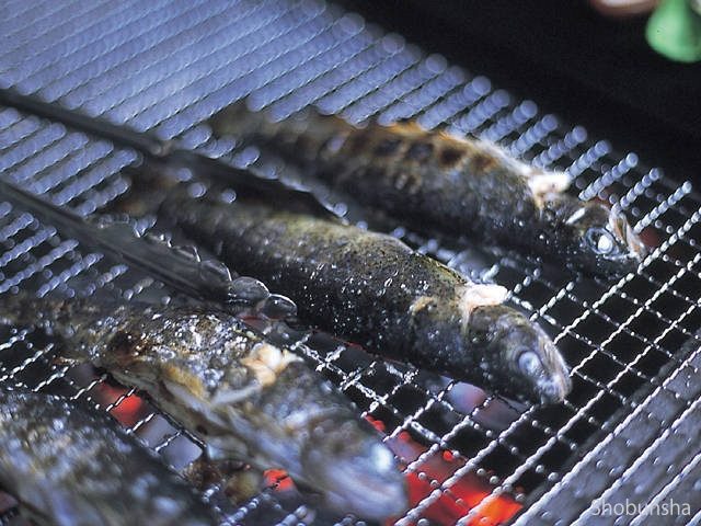 自然休養村さかな園