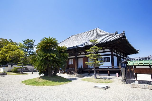 【平城京跡周辺エリアのおすすめスポット】法華寺