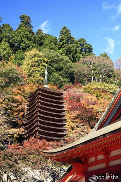 藤原氏ゆかりの神社で紅葉観賞 談山神社