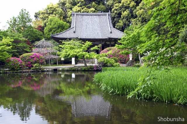 【山の辺の道×観光】晩春のツツジなど四季の花が彩る「長岳寺」