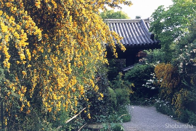 【平城京跡周辺エリアのおすすめスポット】不退寺