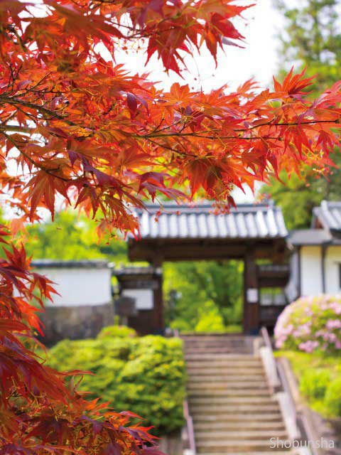 高台に建つ柳生藩主の菩提寺 芳徳寺
