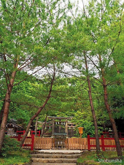 【山の辺の道×観光】山裾にたたずむ由緒ある古社「檜原神社」