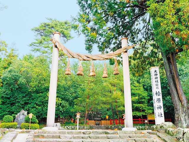 【山の辺の道×観光】山裾にたたずむ由緒ある古社「檜原神社」