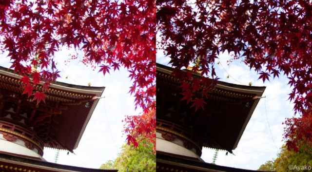 ポイント③明るさを調節する