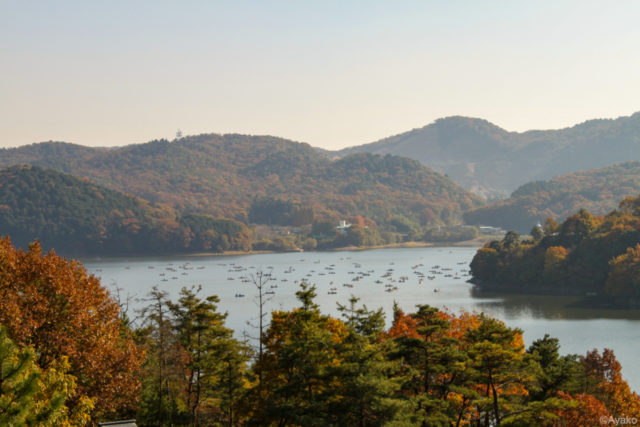 博物館明治村(愛知県)