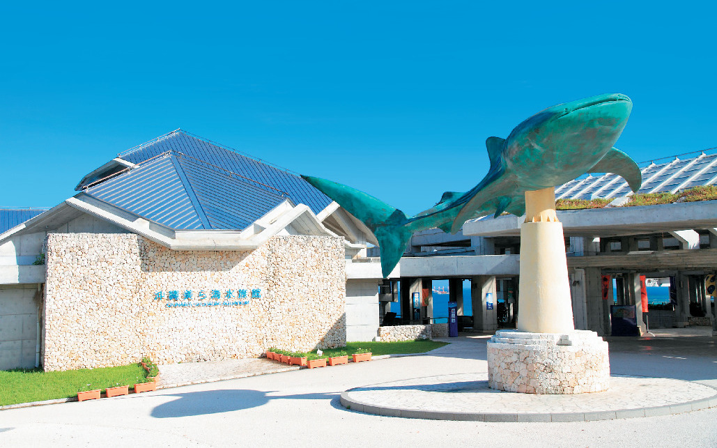 沖縄美ら海水族館 完全ガイド みどころ満載のモデルプランやイルカショーなど まっぷるトラベルガイド