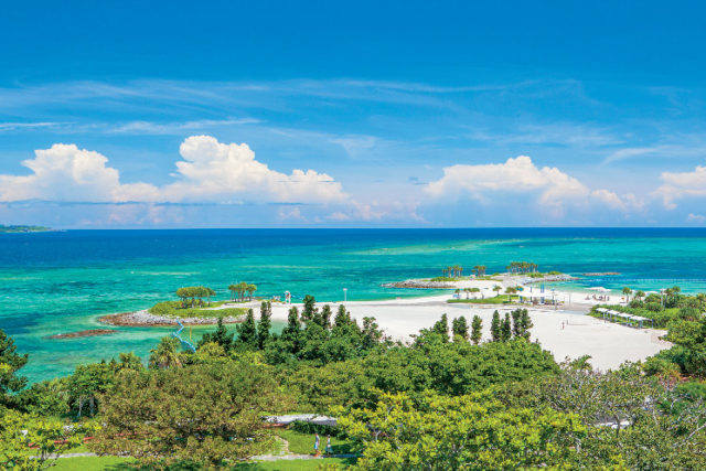【海洋博公園×見どころ】エメラルドビーチ
