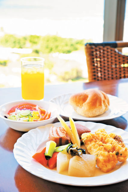 【沖縄美ら海水族館×モデルプラン】公園内の施設を思う存分満喫「じっくりプラン」1日