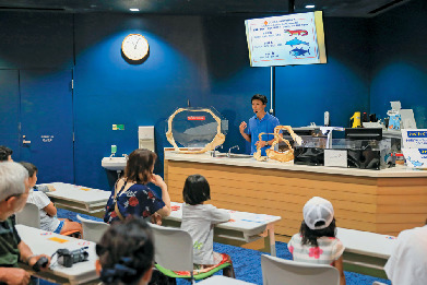 【沖縄美ら海水族館×モデルプラン】公園内の施設を思う存分満喫「じっくりプラン」1日