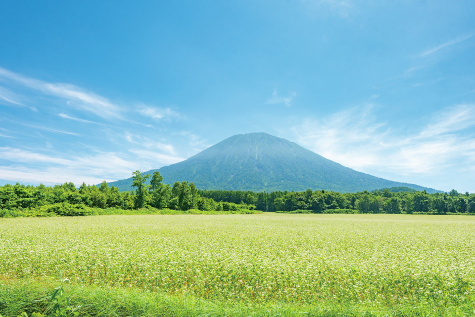 北海道 ニセコ観光はドライブがおすすめ 羊蹄山に抱かれた自然豊かなスポットへ まっぷるトラベルガイド