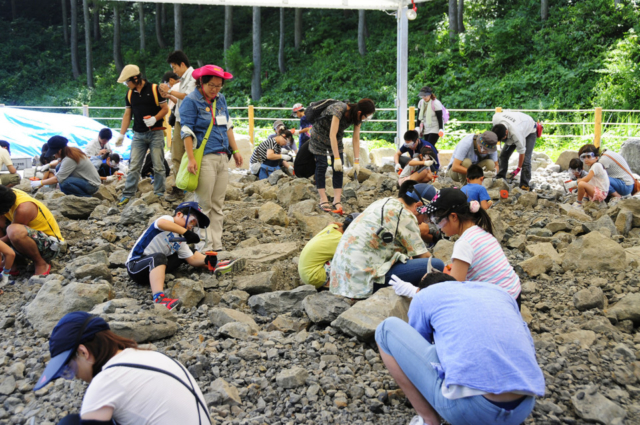 恐竜博物館の魅力③ 発掘現場の見学&発掘体験ができる!