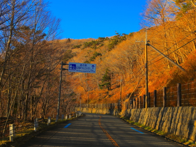 奈良 和歌山 秋の名道 高野龍神スカイライン 紅葉ドライブガイド まっぷるトラベルガイド