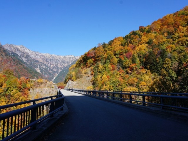 岐阜県のおすすめの紅葉スポット 年版 例年の見頃時期やイベント ライトアップなど情報満載 まっぷるトラベルガイド