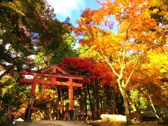 滋賀県のおすすめの紅葉スポット 年版 例年の見頃時期やイベント ライトアップなど情報満載 まっぷるトラベルガイド