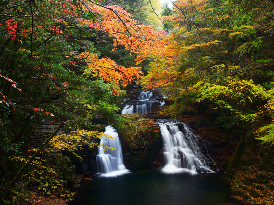 三重】空気がおいしい「赤目四十八滝」紅葉ハイキング！ - まっぷるウェブ