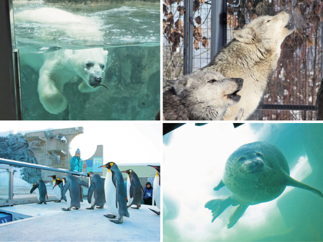プロの方必見！熊の置き物 沈ま