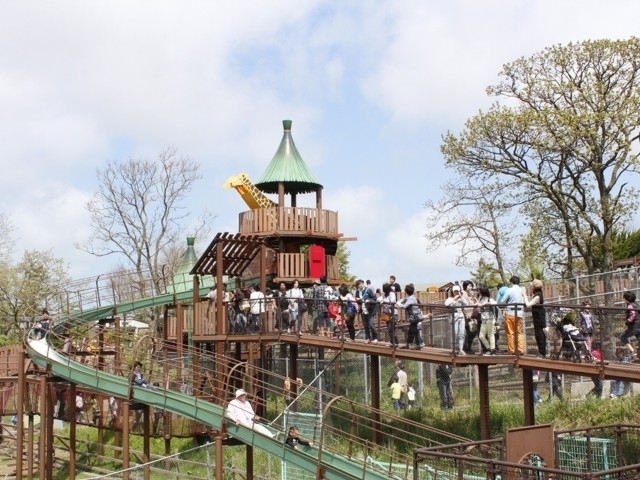 秋田県のおすすめ動物園 21版 営業時間やアクセス ファミリー向け子連れ情報など情報満載 まっぷるトラベルガイド