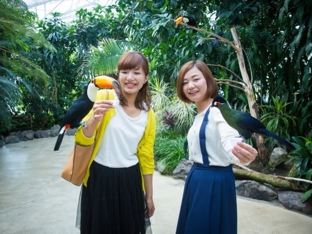 中国地方のおすすめ動物園 21版 営業時間やアクセス ファミリー向け子連れ情報など情報満載 まっぷるトラベルガイド