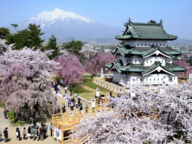 見頃 2021 桜 【2021】九州の「絶景桜」64選！名所から花見におすすめの穴場まで＜見頃情報付＞｜じゃらんニュース